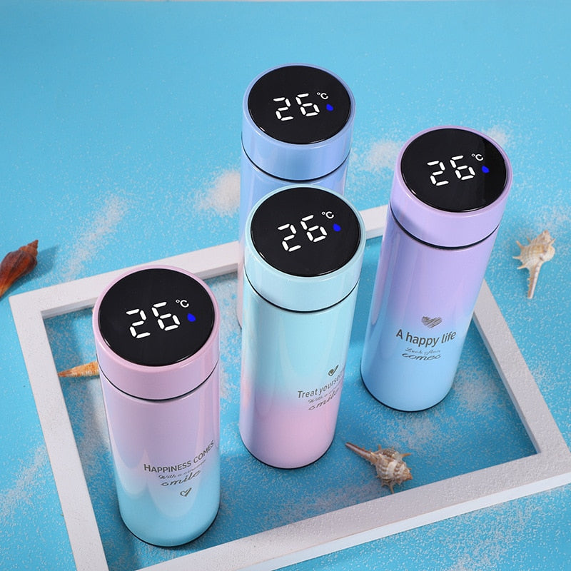 Digital Temperature Display Stainless Steel Water Bottle Hot/Cold Water  Vacuum Flask Thermos - China Thermos Bottle and Tumbler price